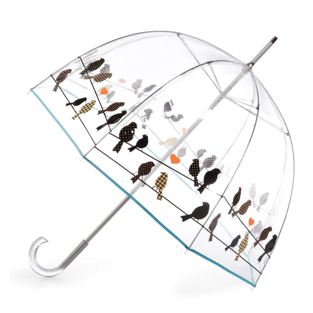Transparenter Bubble Regenschirm Mit Langem Griff