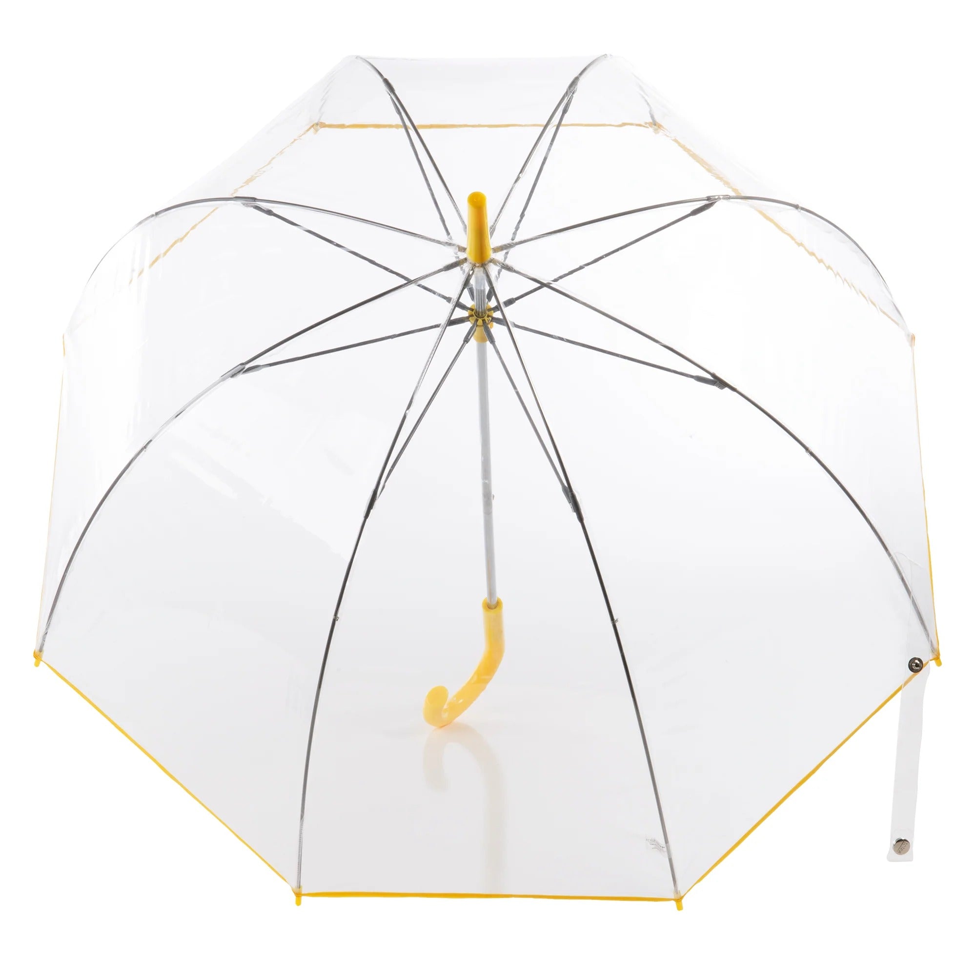Transparenter Regenschirm mit langem Griff
